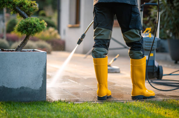 Best Roof Pressure Washing  in Plainview, NY
